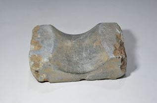 Oldest pillow